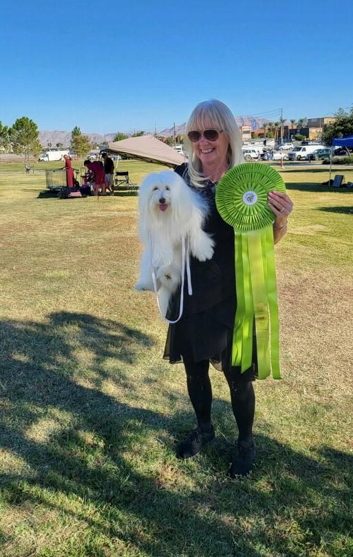 2025 AKC NATIONAL CHAMPIONSHIP BEST IN SHOW WINNER visual data 7